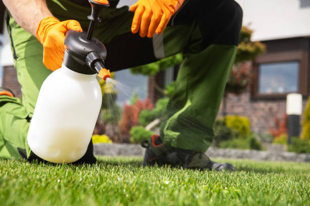 Professional Pest Control in Patterson, CA