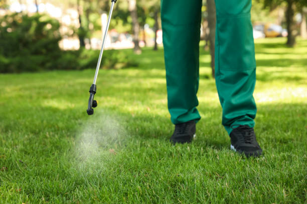 Best Pest Prevention Services  in Patterson, CA
