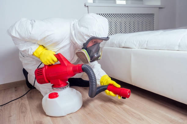Best Pest Control Treatment  in Patterson, CA