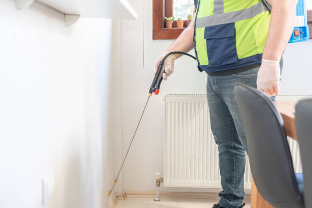 Best Cockroach Control Services  in Patterson, CA