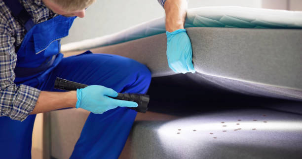 Best Termite Control Services  in Patterson, CA