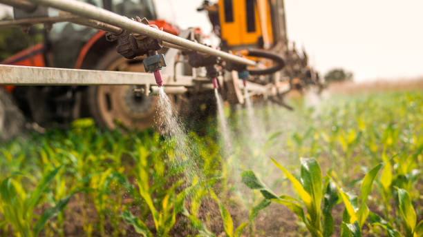 Best Ant Control Services  in Patterson, CA